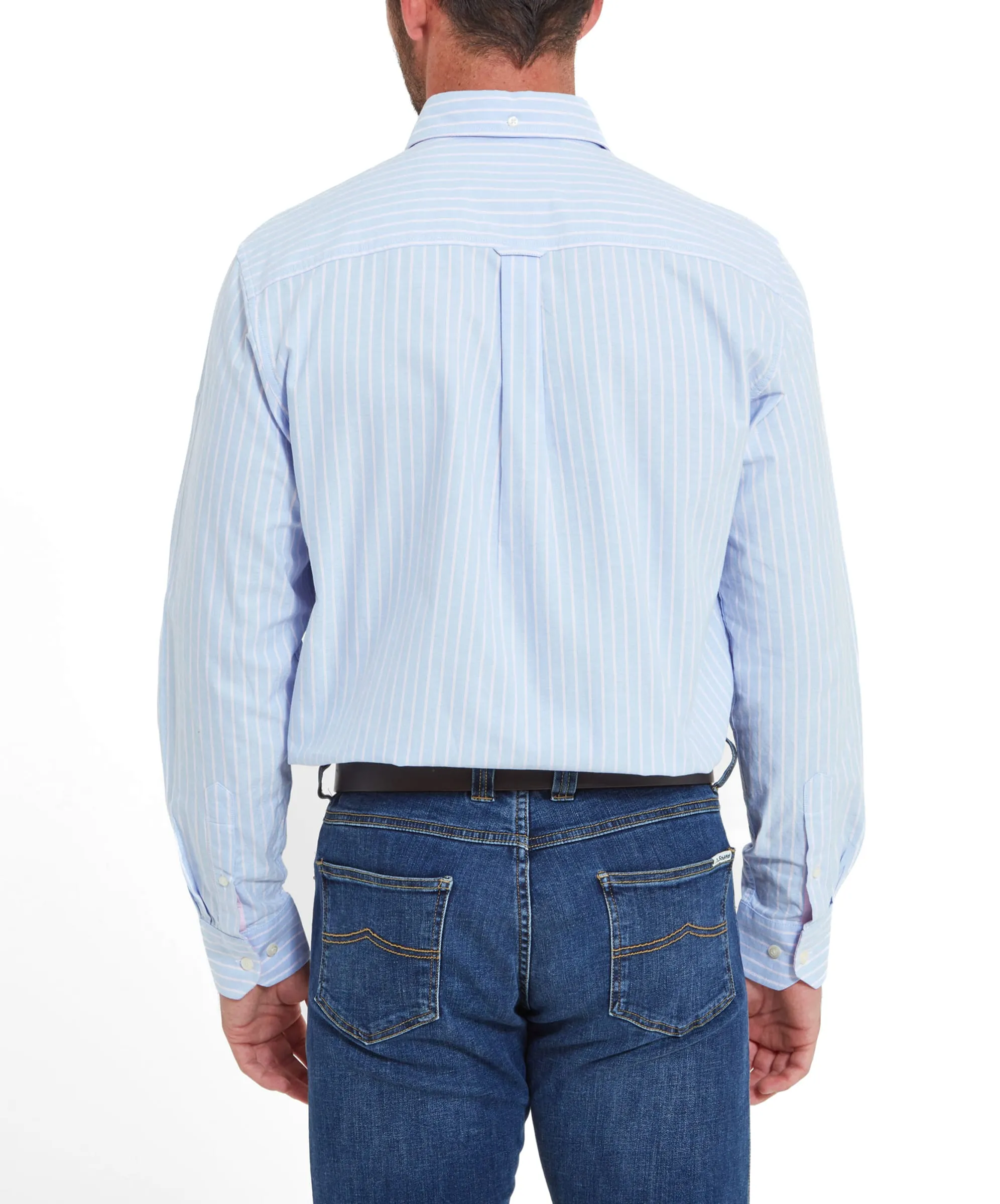 Holt Soft Oxford Tailored Shirt - Blue/Pink Stripe